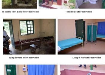 Decolonising Healthcare: Reclaiming Africa’s Indigenous Medicine